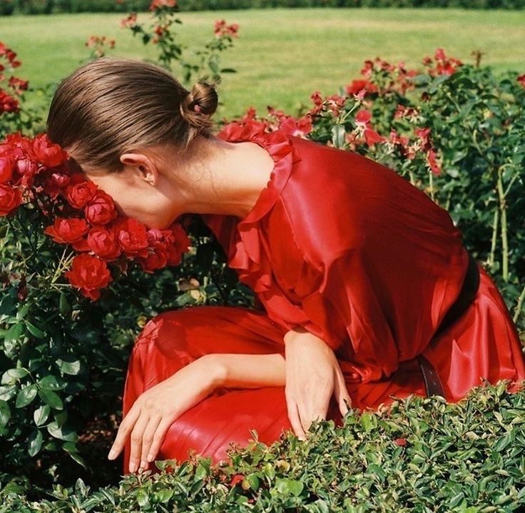 A woman in a red dress leaning into a rose bush